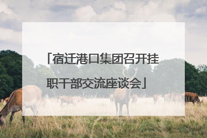 宿迁港口集团召开挂职干部交流座谈会
