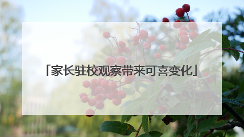 家长驻校观察带来可喜变化
