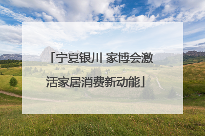 宁夏银川 家博会激活家居消费新动能