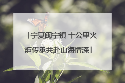 宁夏闽宁镇 十公里火炬传承共赴山海情深
