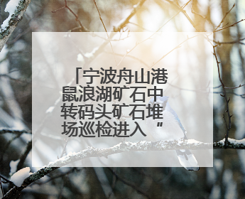 宁波舟山港鼠浪湖矿石中转码头矿石堆场巡检进入“无人时代”