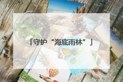 守护“海底雨林”