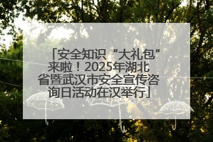 安全知识“大礼包”来啦！2025年湖北省暨武汉市安全宣传咨询日活动在汉举行
