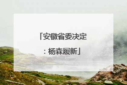 安徽省委决定：杨森履新