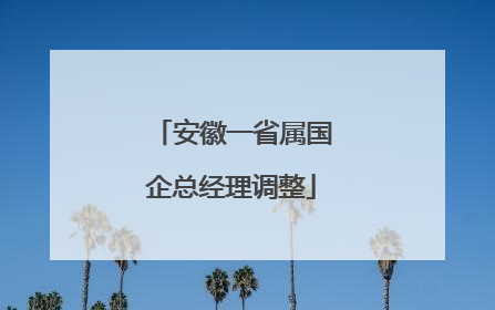安徽一省属国企总经理调整