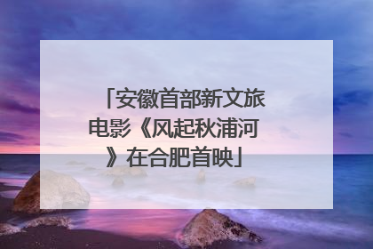 安徽首部新文旅电影《风起秋浦河》在合肥首映