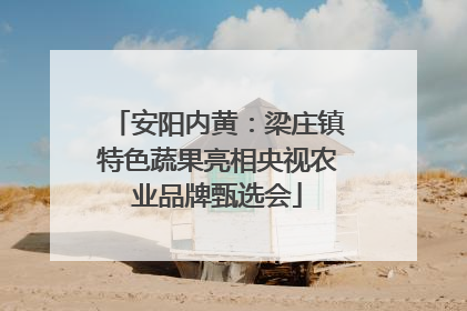 安阳内黄：梁庄镇特色蔬果亮相央视农业品牌甄选会