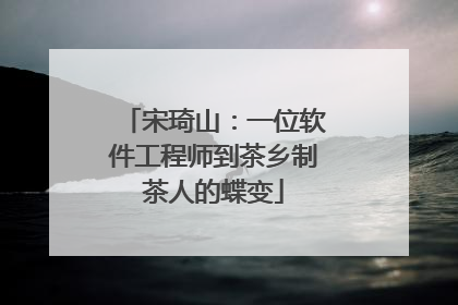 宋琦山：一位软件工程师到茶乡制茶人的蝶变