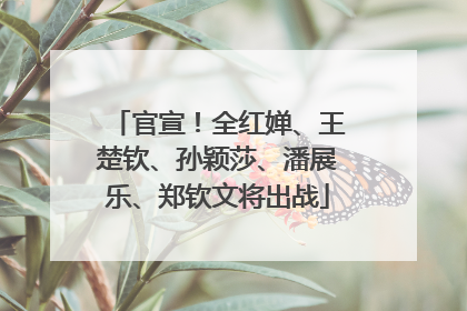 官宣！全红婵、王楚钦、孙颖莎、潘展乐、郑钦文将出战