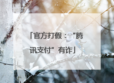 官方打假：“腾讯支付”有诈