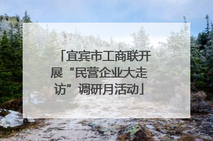 宜宾市工商联开展“民营企业大走访”调研月活动