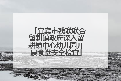 宜宾市残联联合留耕镇政府深入留耕镇中心幼儿园开展食堂安全检查