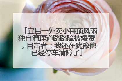 宜昌一外卖小哥顶风雨独自清理道路路障被爆赞，目击者：我还在犹豫他已经停车清障了