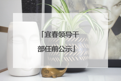 宜春领导干部任前公示