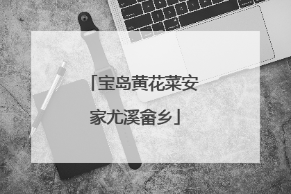 宝岛黄花菜安家尤溪畲乡