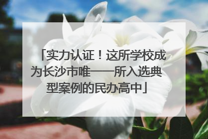 实力认证！这所学校成为长沙市唯一一所入选典型案例的民办高中