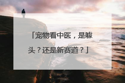 宠物看中医，是噱头？还是新赛道？