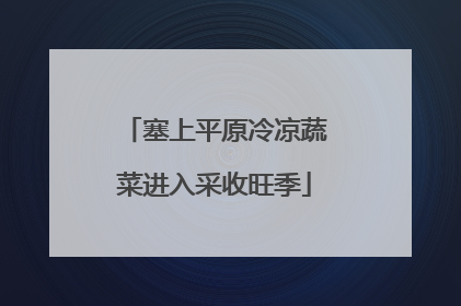塞上平原冷凉蔬菜进入采收旺季