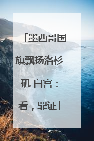 墨西哥国旗飘扬洛杉矶 白宫：看，罪证