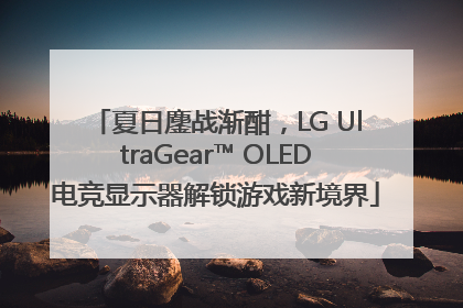 夏日鏖战渐酣,LG UltraGear™ OLED电竞显示器解锁游戏新境界