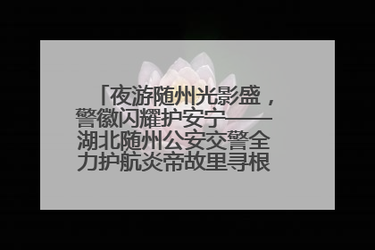 夜游随州光影盛，警徽闪耀护安宁——湖北随州公安交警全力护航炎帝故里寻根节夜游活动侧记