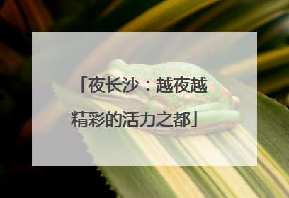 夜长沙：越夜越精彩的活力之都