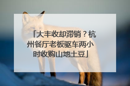 大丰收却滞销？杭州餐厅老板驱车两小时收购山地土豆