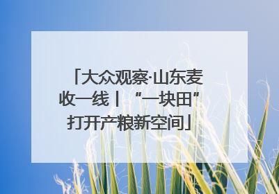 大众观察·山东麦收一线丨“一块田”打开产粮新空间