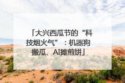 大兴西瓜节的“科技烟火气”：机器狗搬瓜、AI摊煎饼