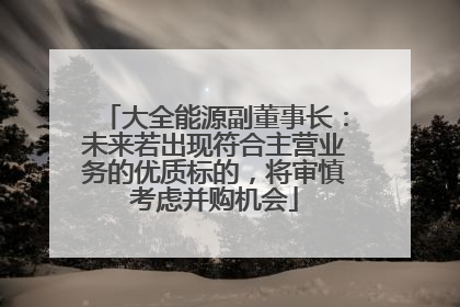 大全能源副董事长：未来若出现符合主营业务的优质标的，将审慎考虑并购机会