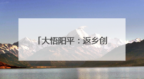 大悟阳平：返乡创办合作社，种出乡村振兴“金稻子”