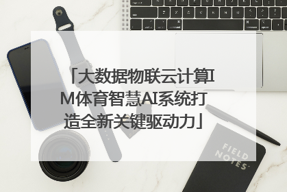 大数据物联云计算IM体育智慧AI系统打造全新关键驱动力