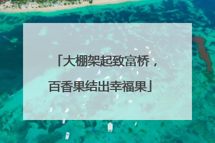 大棚架起致富桥，百香果结出幸福果