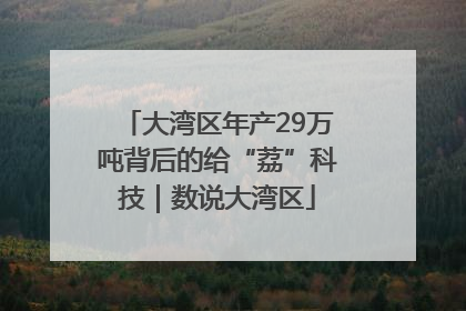大湾区年产29万吨背后的给“荔”科技｜数说大湾区