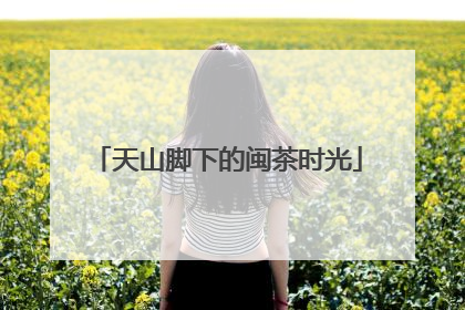 天山脚下的闽茶时光