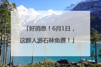 好消息！6月1日，这群人游石林免费！