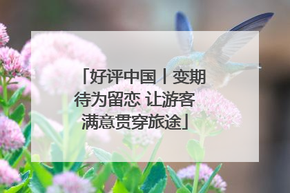 好评中国丨变期待为留恋 让游客满意贯穿旅途