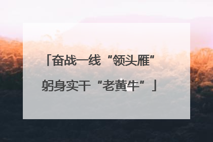 奋战一线“领头雁” 躬身实干“老黄牛”
