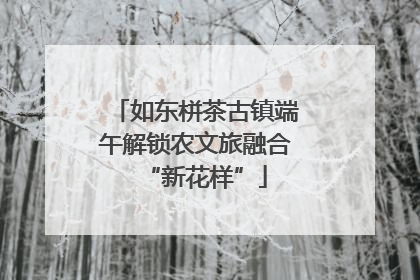 如东栟茶古镇端午解锁农文旅融合“新花样”