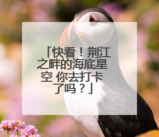 快看！荆江之畔的海底星空 你去打卡了吗？