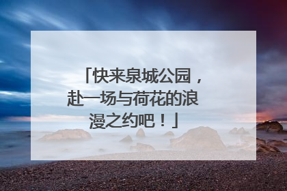 快来泉城公园，赴一场与荷花的浪漫之约吧！