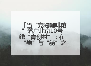当“宠物咖啡馆”落户北京10号线“青创村”：在“卷”与“躺”之间，他们找到了第三种生活公式