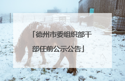 德州市委组织部干部任前公示公告