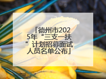 德州市2025年“三支一扶”计划招募面试人员名单公布
