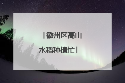 徽州区高山水稻种植忙