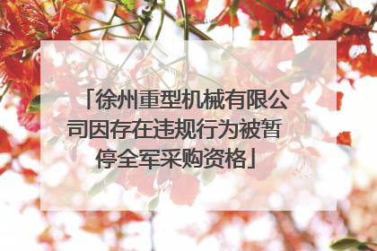 徐州重型机械有限公司因存在违规行为被暂停全军采购资格