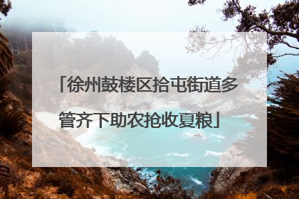 徐州鼓楼区拾屯街道多管齐下助农抢收夏粮