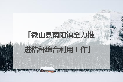 微山县南阳镇全力推进秸秆综合利用工作
