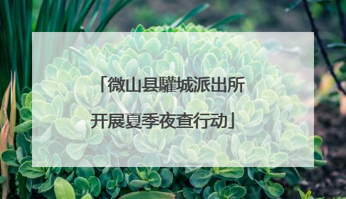 微山县驩城派出所开展夏季夜查行动