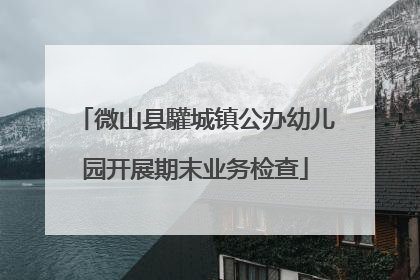 微山县驩城镇公办幼儿园开展期末业务检查